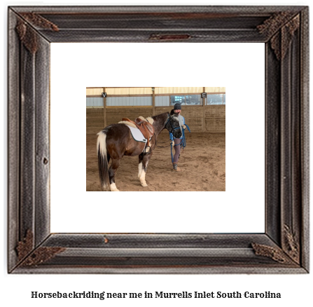 horseback riding near me in Murrells Inlet, South Carolina